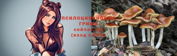 СК Аркадак