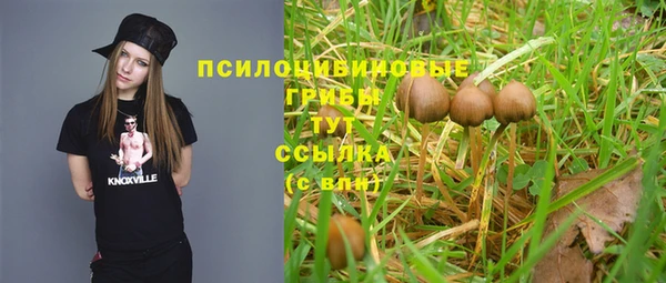 ПСИЛОЦИБИНОВЫЕ ГРИБЫ Армянск