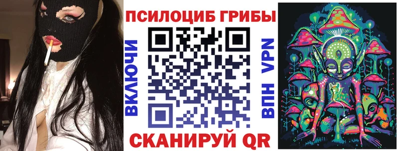 хочу   Строитель  Псилоцибиновые грибы ЛСД 